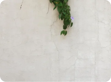 External wall seepage